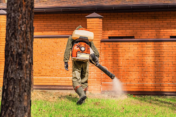 Top rated local Bed Bug Control specialists in Steep Falls, ME